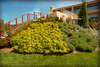 L'Ea Bianca Luxury Resort 
